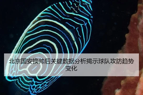 北京国安换帅后关键数据分析揭示球队攻防趋势变化