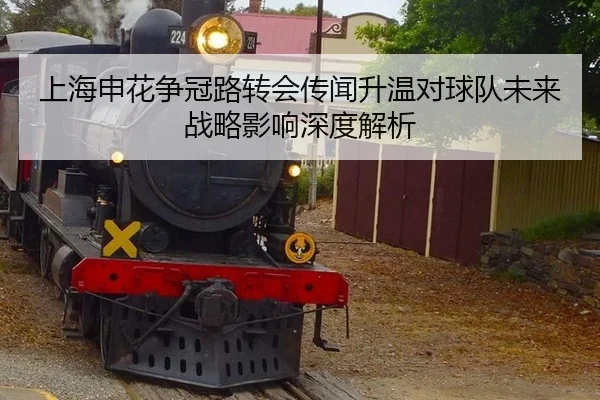 shang-hai-shen-hua-zheng-guan-lu-zhuan-hui-chuan-wen-sheng-wen-dui-qiu-dui-wei-lai-zhan-lve-ying-xiang-shen-du-jie-xi-1-855.jpg